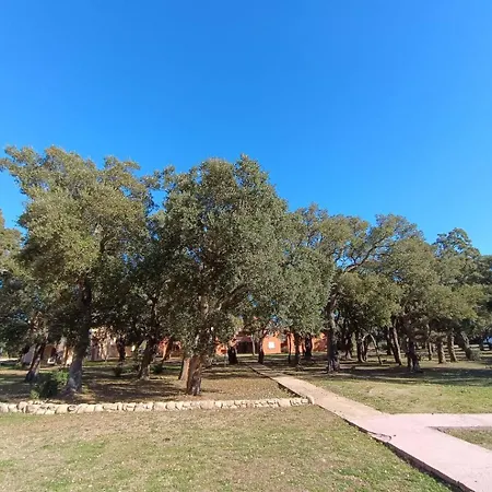 Apartament T2 Cyprien, Climatise, Piscines, Resto, Plages 2-4 Pers *