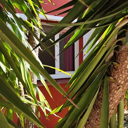 T2 Cyprien, Climatise, Piscines, Resto, Plages 2-4 Pers Apartment