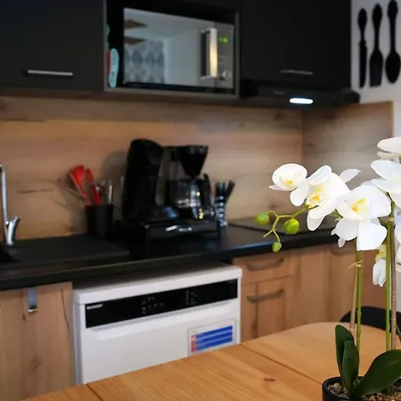 T2 Cyprien, Climatise, Piscines, Resto, Plages 2-4 Pers Apartment