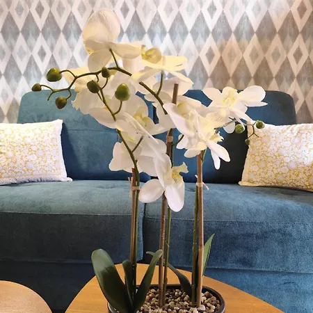 Apartment T2 Cyprien, Climatise, Piscines, Resto, Plages 2-4 Pers