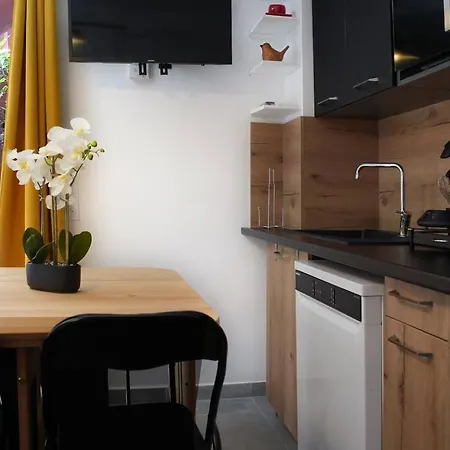 T2 Cyprien, Climatise, Piscines, Resto, Plages 2-4 Pers Apartman *