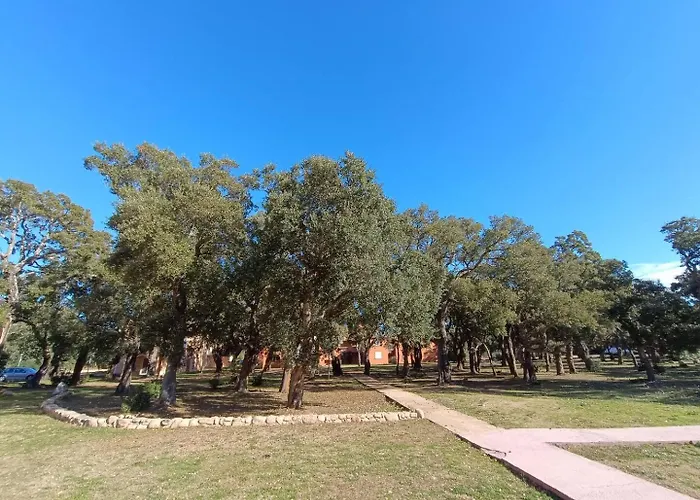 Appartement T2 Cyprien, Climatise, Piscines, Resto, Plages 2-4 Pers *