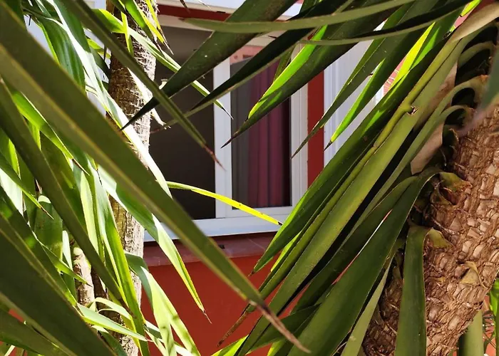 T2 Cyprien, Climatise, Piscines, Resto, Plages 2-4 Pers Appartement