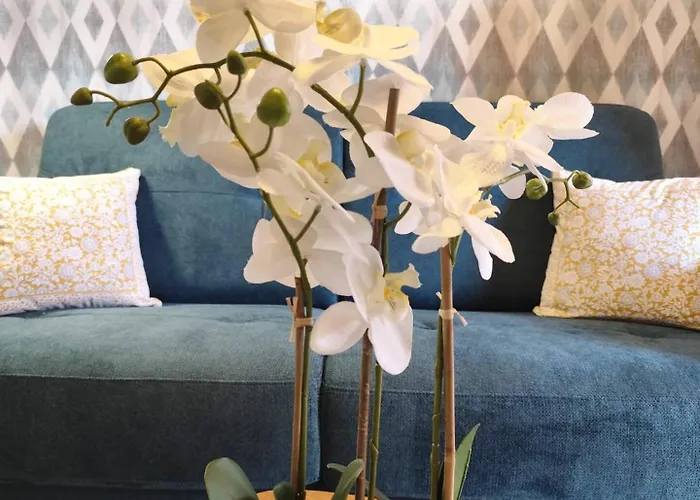 Appartement T2 Cyprien, Climatise, Piscines, Resto, Plages 2-4 Pers